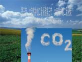 鲁教版化学九年级上册 6.3.1   大自然中的二氧化碳 课件+视频素材