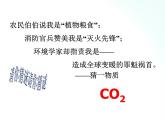 鲁教版化学九年级上册 6.3.1   大自然中的二氧化碳 课件+视频素材
