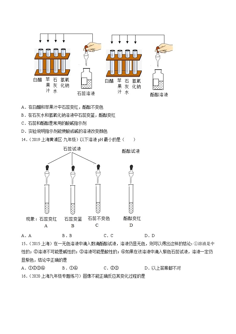 沪教上海版化学九上 3.3溶液的酸碱性 练习题 (原卷+解析卷)03