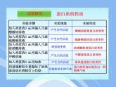 鲁教五四制初中化学九全《5.3 远离有毒物质》PPT课件 (1)