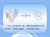 鲁教五四制初中化学九全《5.3 远离有毒物质》PPT课件 (1)
