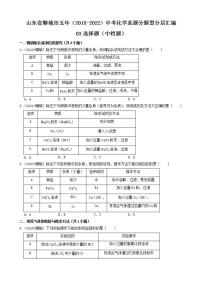 山东省聊城市五年（2018-2022）中考化学真题分题型分层汇编-03选择题（中档题）