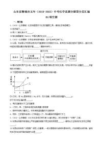 山东省聊城市五年（2018-2022）中考化学真题分题型分层汇编-04填空题