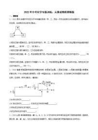 2022年中考化学专题训练 元素或物质推断题