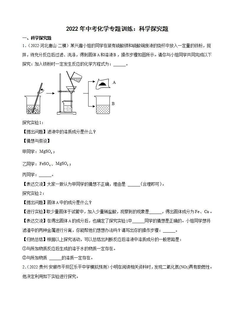 2022年中考化学专题训练 科学探究题01