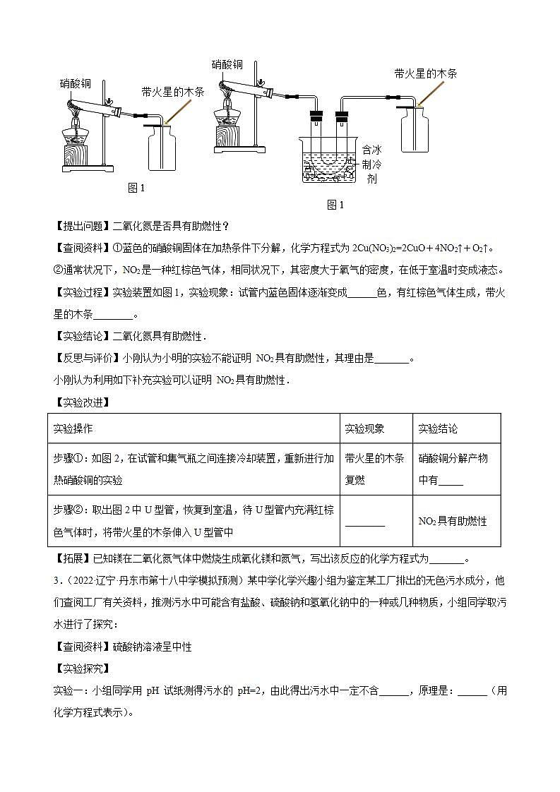 2022年中考化学专题训练 科学探究题02