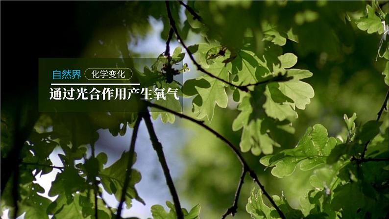 2.1 性质活泼的氧气（第2课时）九年级化学上册同步公开课精美课件（沪教版）02