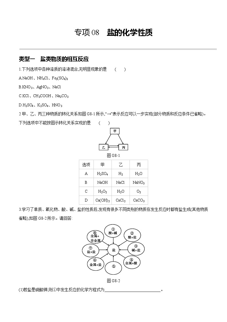 2022年中考化学专项复习：08盐的化学性质（含答案）第1页
