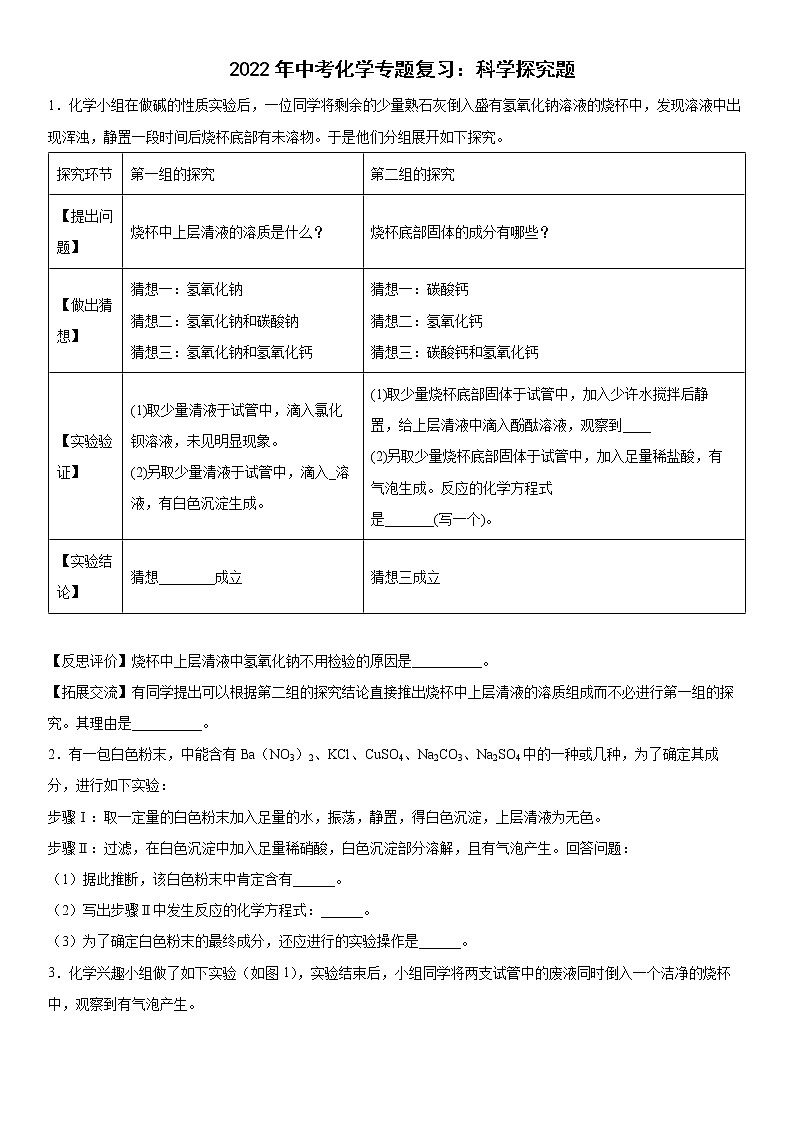 2022年中考化学专题复习科学探究题第1页