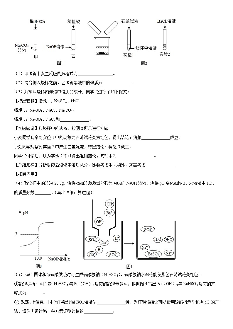2022年中考化学专题复习科学探究题第2页