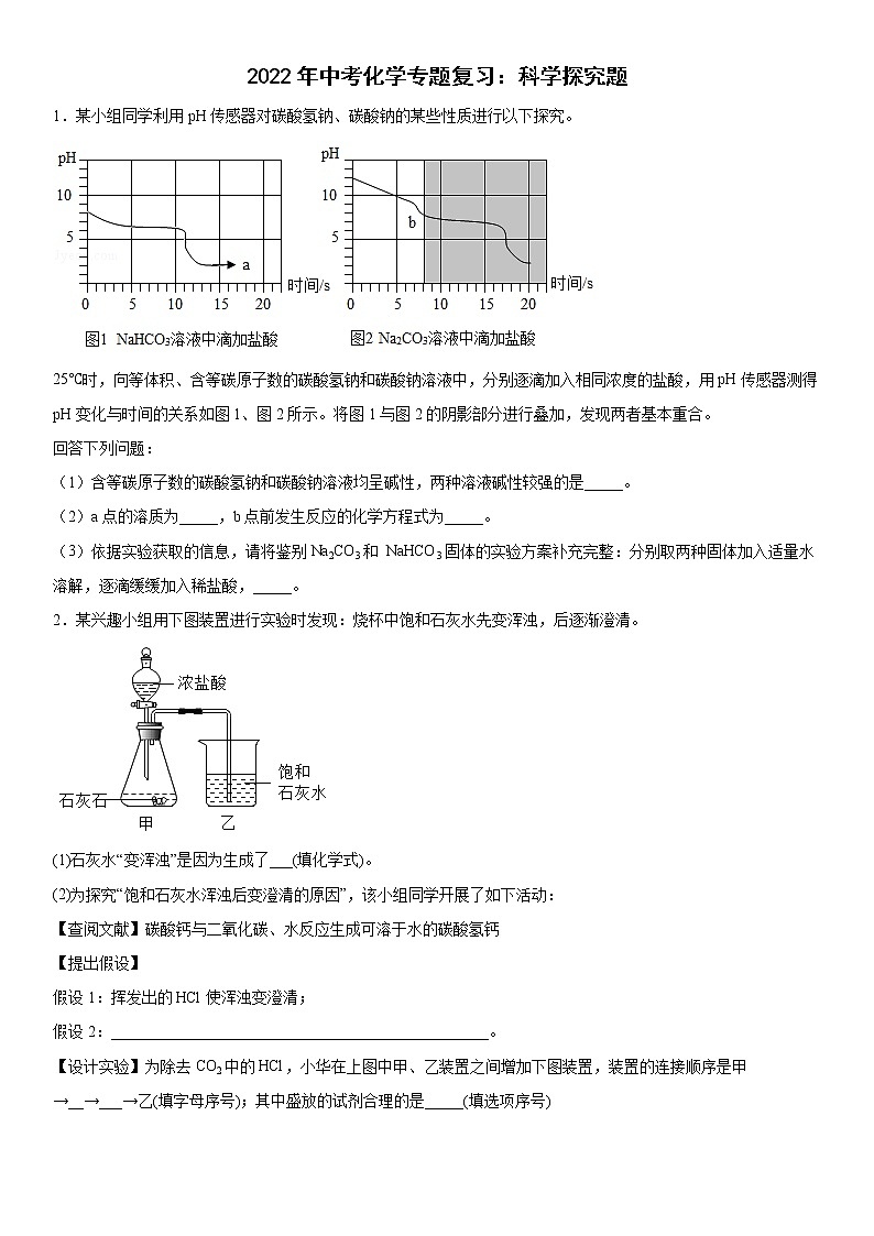 2022年中考化学专题复习：科学探究题第1页
