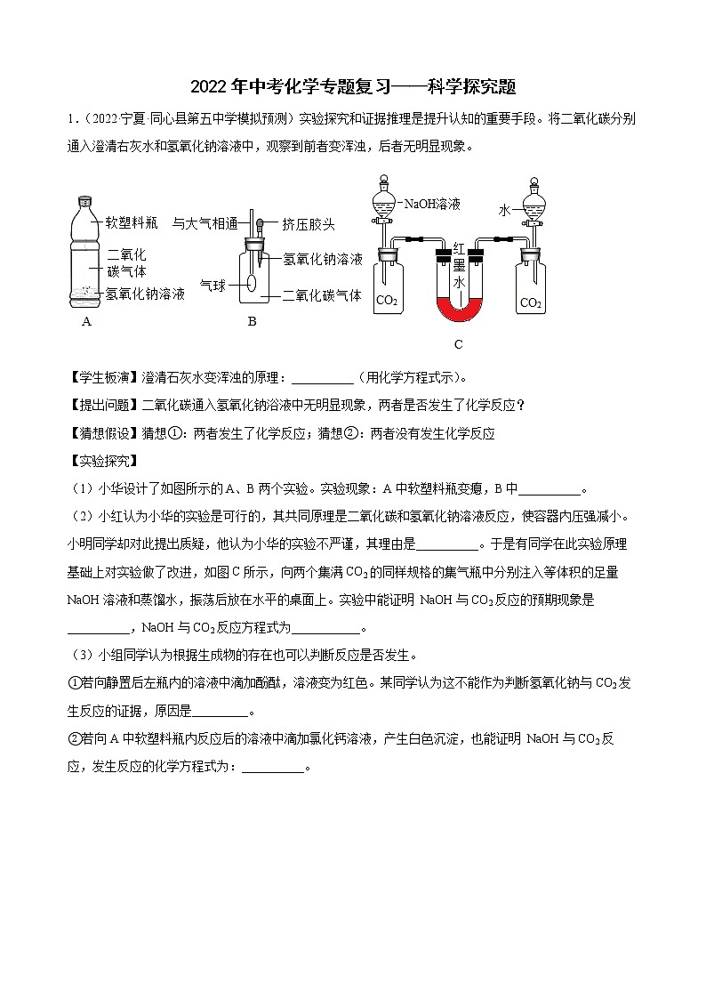 2022年中考化学专题复习科学探究题 (1)第1页