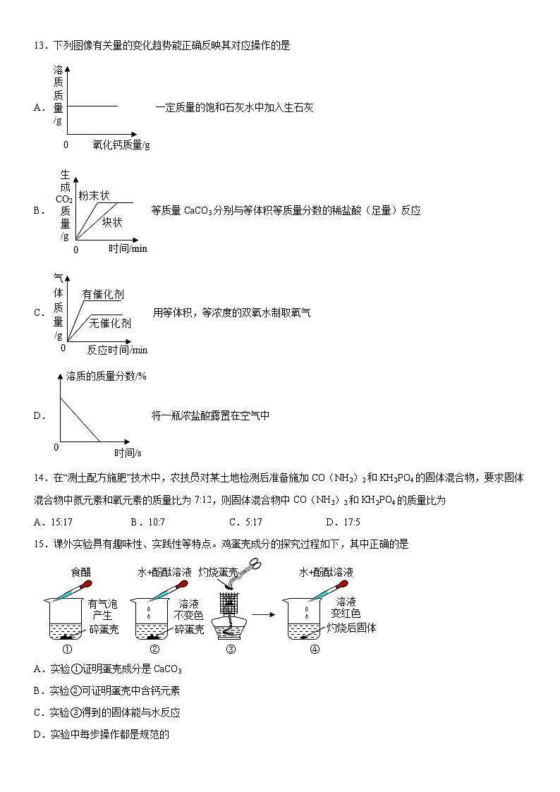 2022年人教版（五四学制）化学中考复习第四单元盐化肥第3页