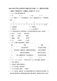 初中化学九上2018-2019学年山东省济宁市微山县九年级（上）期末化学试卷（解析版）