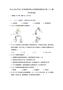 初中化学九上广东省深圳市南山实验教育集团2019-2020学年九年级（上）期中化学试卷  含解析