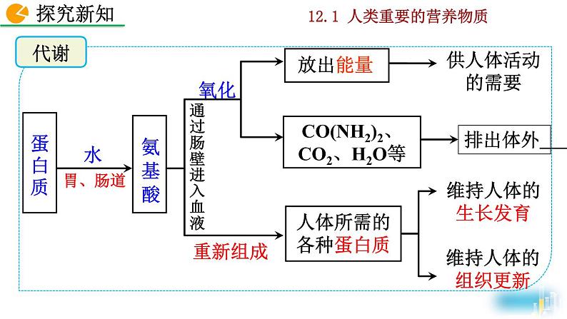 化学九年级下第12单元课题1 人类重要的营养物质课件第8页