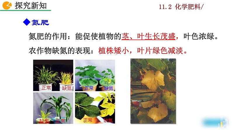 化学九年级下第11单元课题2 化学肥料教学课件第7页