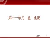 化学九年级下第11单元 盐 化肥教学课件