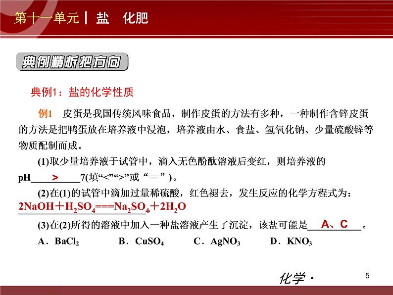 化学九年级下第11单元 盐 化肥教学课件05