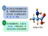 12.1 人类重要的营养物质--（课件+教案）人教版九年级化学下册