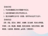 化学人教版九年级下册 同步教学课件第10单元 酸和碱 实验活动6 酸碱的化学性质