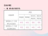 化学人教版九年级下册 同步教学课件第10单元 酸和碱 实验活动6 酸碱的化学性质