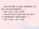 化学人教版九年级下册 同步教学课件第12单元 化学与生活 章末复习