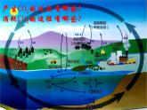 鲁教版九年级上册化学  6.3 大自然中的二氧化碳 课件