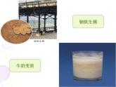人教版九年级上册化学  1.1 物质的变化和性质 课件