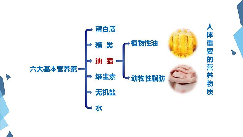 人教版化学九下第十二单元课题1 人类重要的营养物质课件（28张PPT）08