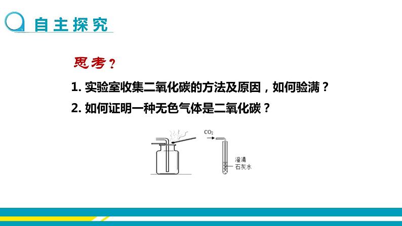 鲁教版初中化学九上 第六单元 第三节 大自然中的二氧化碳 课件03