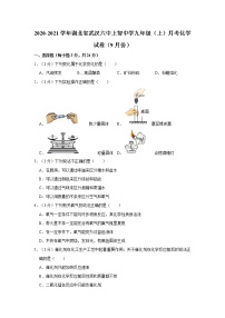 2020-2021学年湖北省武汉六中上智中学九年级（上）月考化学试卷（9月份）