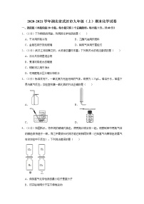 2020-2021学年湖北省武汉市九年级（上）期末化学试卷2