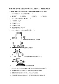 2021-2022学年湖北省武汉市洪山区九年级（上）期中化学试卷