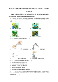 2021-2022学年安徽省黄山市休宁县洪里中学九年级（上）期中化学试卷(含答案)