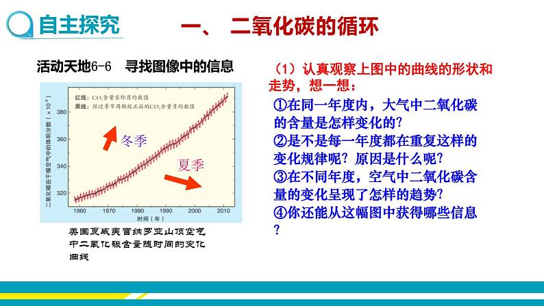 鲁教版初中化学九上 第六单元 第三节 大自然中的二氧化碳课件03