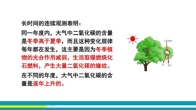 鲁教版初中化学九上 第六单元 第三节 大自然中的二氧化碳课件04