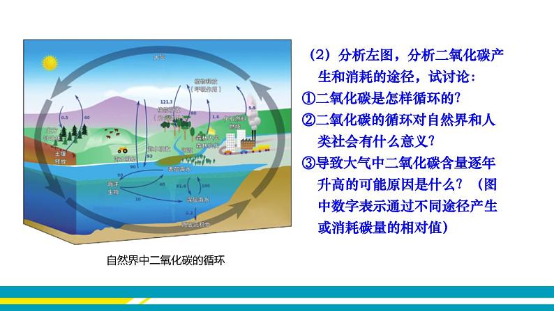 鲁教版初中化学九上 第六单元 第三节 大自然中的二氧化碳课件05