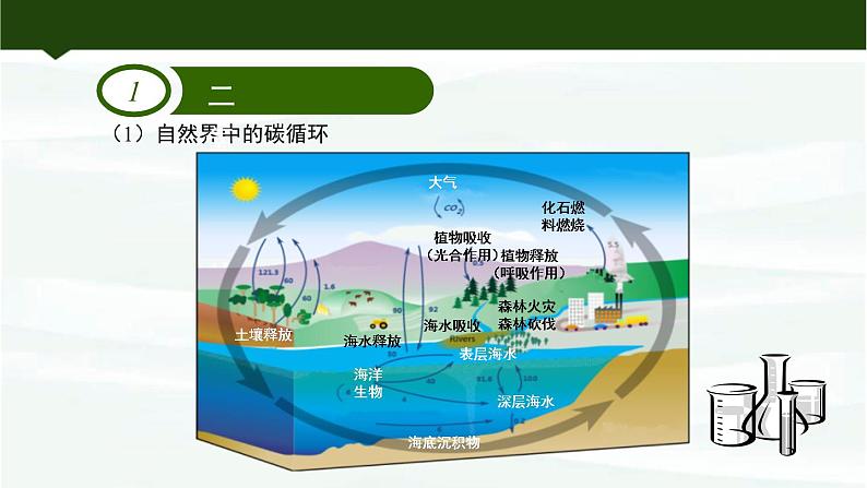 鲁教版初中化学九上 第六单元 第三节 大自然中的二氧化碳课件03