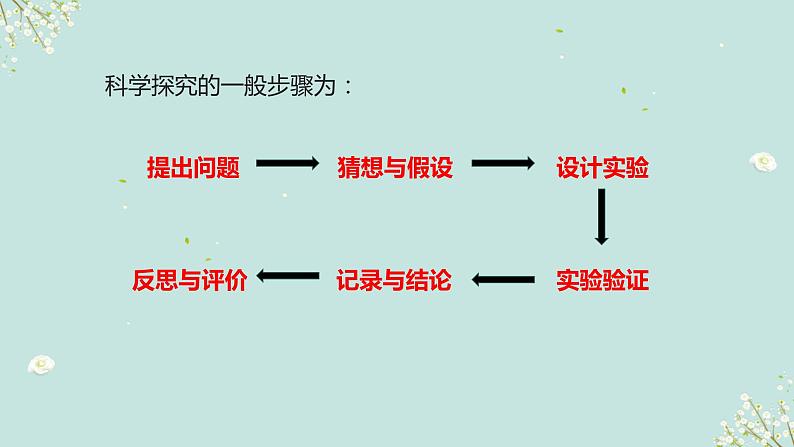 鲁教版初中化学九上 第一单元 第二节 体验化学探究课件03