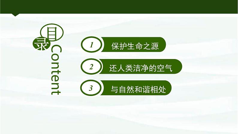 鲁教版初中化学九上 第十一单元 第四节 化学与环境保护课件第2页