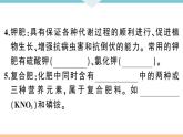 初三人教版九年级化学下册安徽习题讲评课件同步练习4十一单元盐化肥5课题2化学肥料