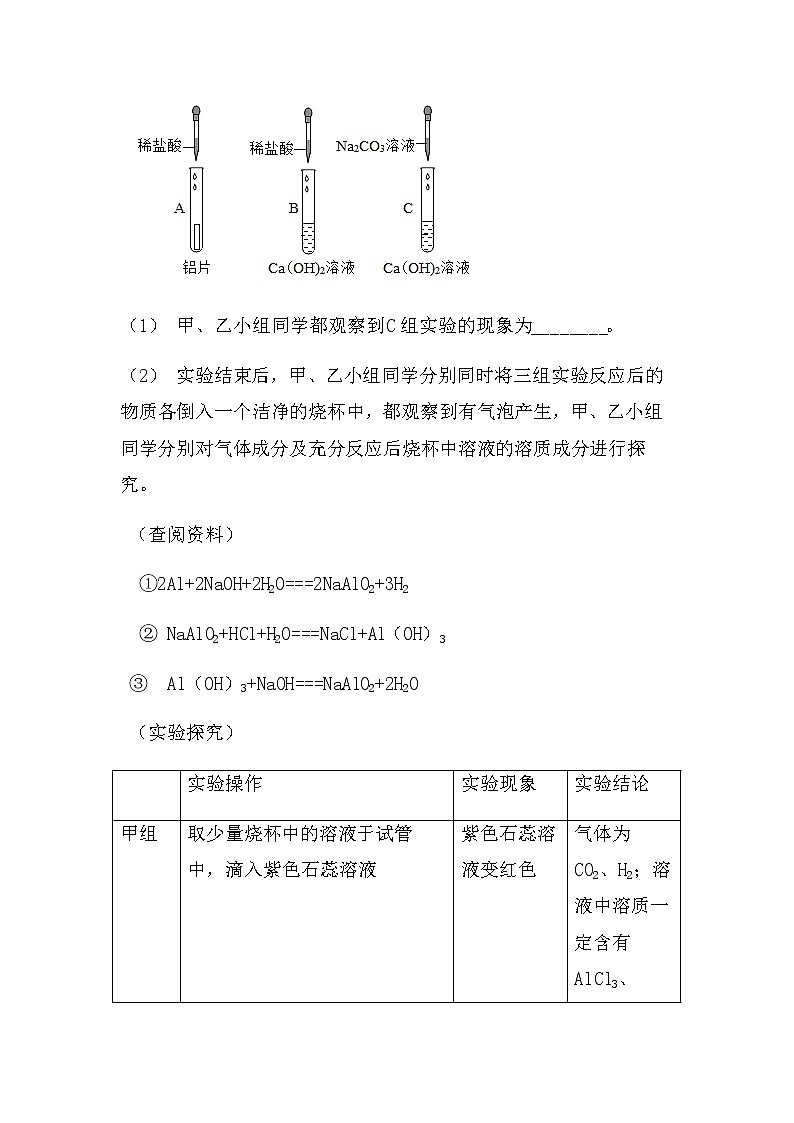 最新2022中考化学总复习专题突破：实验探究题（金属专练）（无答案）第3页