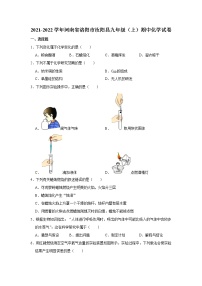 河南省洛阳市汝阳县2021-2022学年九年级上学期期中化学试卷