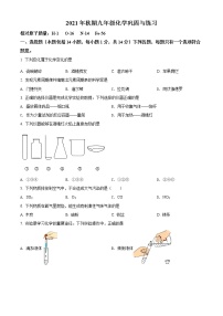 河南省南阳市内乡县2021-2022学年九年级上学期期中化学试题