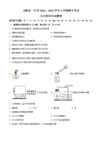 河南省安阳市文峰区正一中学2021-2022学年九年级上学期期中化学试题