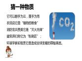 人教版初中化学九上 6.3 二氧化碳和一氧化碳课件