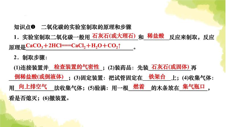 人教版九年级化学上册实验活动2二氧化碳的实验室制取与性质课件03