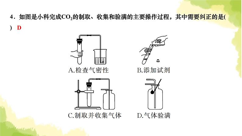 人教版九年级化学上册实验活动2二氧化碳的实验室制取与性质课件05