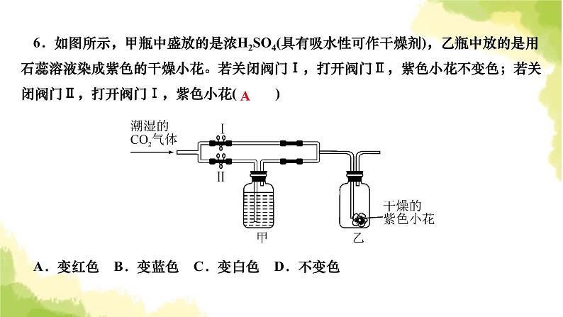 人教版九年级化学上册实验活动2二氧化碳的实验室制取与性质课件08